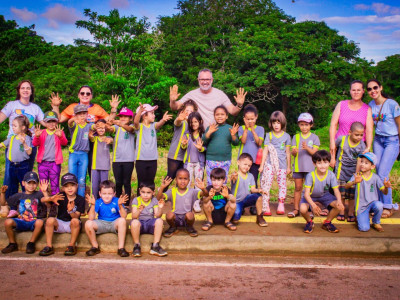 MEIO AMBIENTE | Plantio de Árvores de Lei